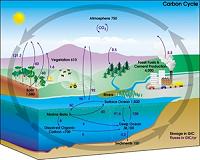 Deep sea reveals linkage between earthquake and carbon cycle