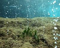 Release of CO2 fastest in 66 million years: study