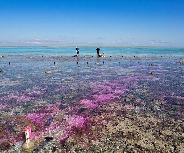 Britain, Australia brace for UNESCO world heritage rulings