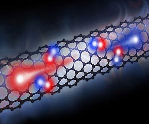A Dead End For Plant Cells