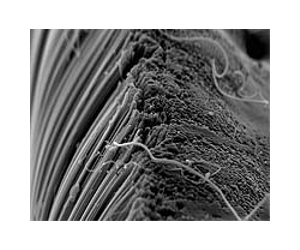 Drawing a line, with carbon nanotubes