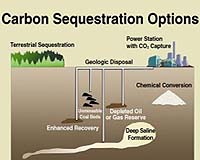 Predicting The Fate Of Underground Carbon