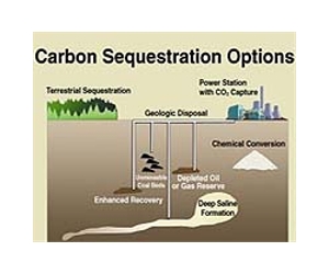 Stanford scientist to discuss the challenges of carbon sequestration at AAAS
