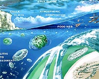Acidified ocean water close to shore