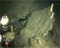 NOAA scientists find giant rock formations shaped like flowers on ocean floor