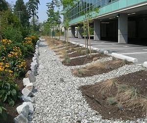 Canada's Role Grows Amid Droughts And Floods