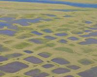 Satellites yield insight into not so permanent permafrost
