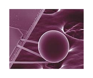 Raising the prospects for quantum levitation