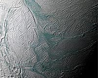 Tracing Tiger Stripes