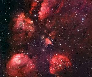 On The Trail Of A Cosmic Cat