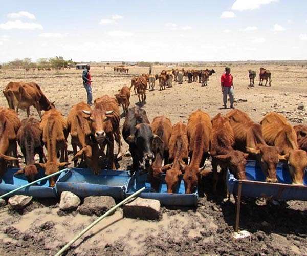 Timely study on rising groundwater offers hope for drought-stricken East Africa