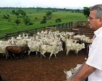 Clash of cultures as Amazon cowboys close in on indigenous lands