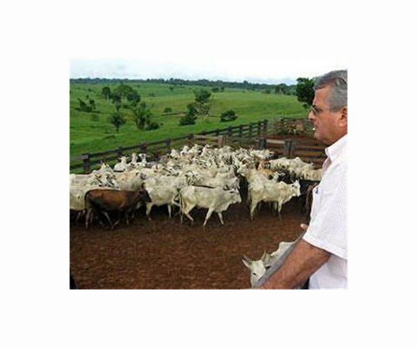 Beef-addicted Uruguay aiming to make farming greener