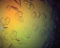 Microseeding: A new way to overcome hemihedral twinning?