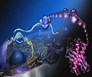 Rapid Threat Assessment Could Mitigate Danger from Chemical and Biological Warfare