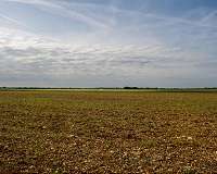 European farms, wildlife parched in post-heatwave drought