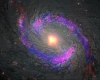 ALMA reveals mild environment around super black hole