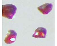 Ames Laboratory scientists create first intermetallic double salt with platinum