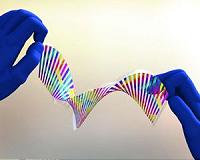 New color-changing smart skin inspired by chameleons