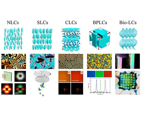 Self-assembled liquid crystal architectures for soft matter photonics