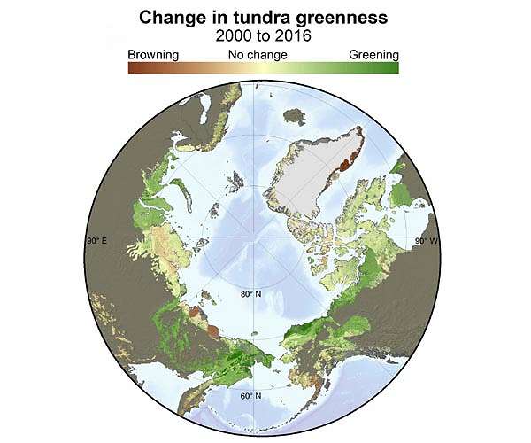 Siberian tundra could virtually disappear by mid-millennium