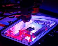 Electronic chip mimics the brain to make memories in a flash