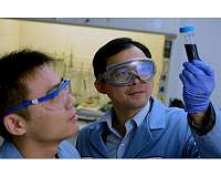 More flexible nanomaterials can make fuel cell cars cheaper