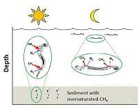 Greenhouse gases: First it was cows now it's larvae