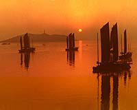 Toxic Algae Pose New Health Scare In China
