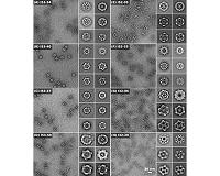 Biggest Little Self-Assembling Protein Nanostructures Created