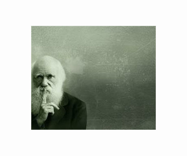 UK climate activists target Darwin's grave with chalk