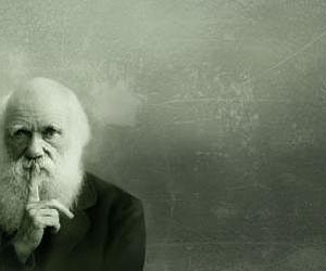 Study shows evolutionary adaptations can be reversed, but rarely