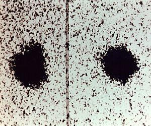 A Giant Moon for the Ninth Planet