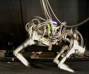 US robotic 'cheetah' breaks speed records
