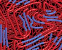 Polymer-graphene nanocarpets to electrify smart fabrics