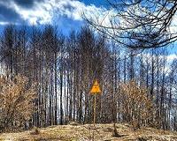 Wildfires in Ukraine could revive Chernobyl's radiation