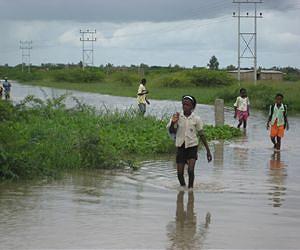 NGO ends Mozambique flood aid over graft: report