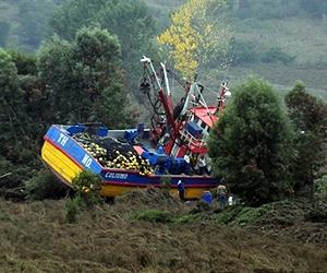 Chilean courts to probe tsunami warning failures