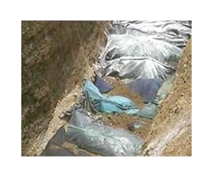 Iraq faces painful legacy of mass graves