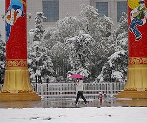 Beijing's 'mice' scurry for shelter from high costs
