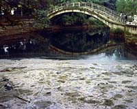 Rivers Are Carbon Processors, Not Inert Pipelines