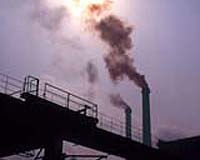 China state copper firm chief jumps to his death: report