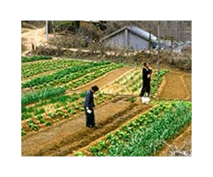 China boosts rural spending to reduce wealth gap