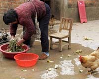 Urban, rural income disparity keeps growing in China: govt