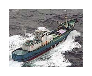 Chinese ship sinks off Antarctica: Chile