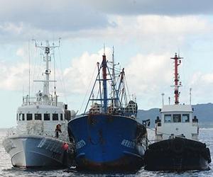 S. Korea to release Chinese fishermen