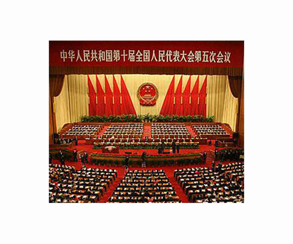 China's congress spins out bold and bizarre ideas