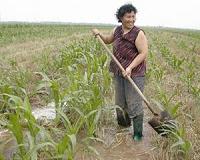China's COFCO to acquire 51% of agri-firm Noble