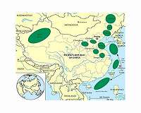 Chinese offshore production lower than last year