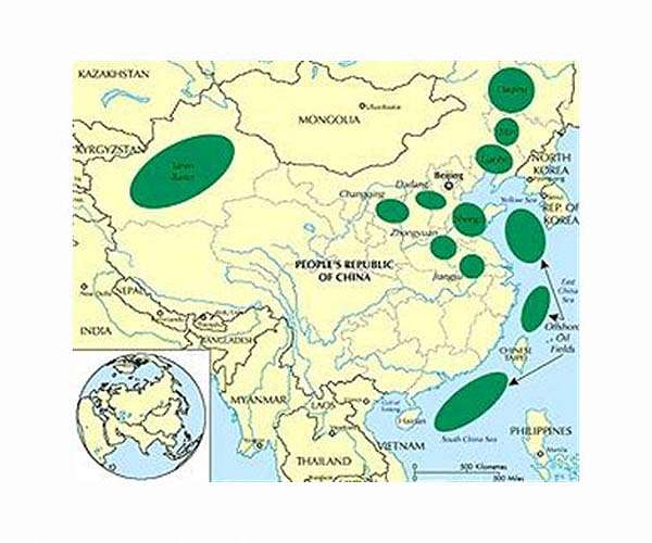 China discovers major new oilfield off Shenzhen
